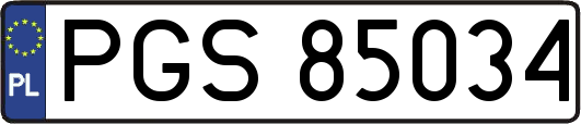 PGS85034