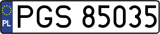 PGS85035