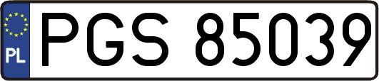 PGS85039