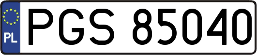 PGS85040