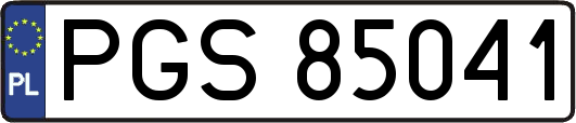 PGS85041