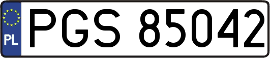 PGS85042