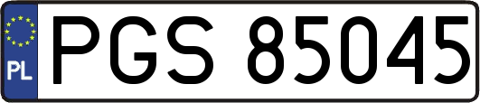 PGS85045