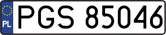PGS85046