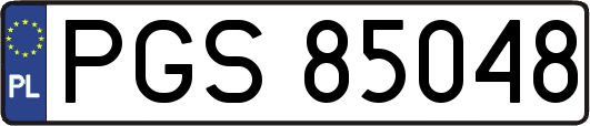 PGS85048