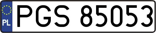 PGS85053
