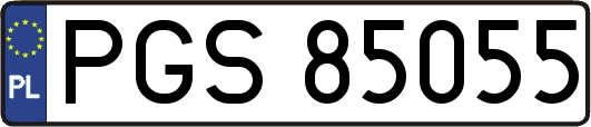 PGS85055