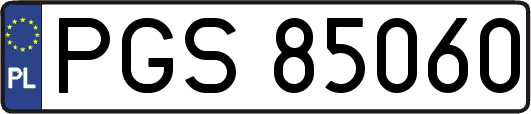PGS85060
