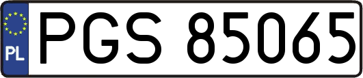 PGS85065