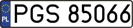PGS85066