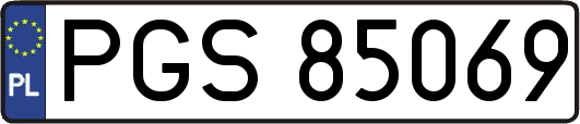 PGS85069