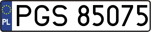 PGS85075