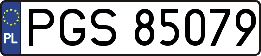 PGS85079