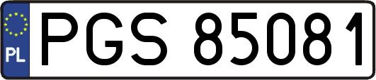 PGS85081