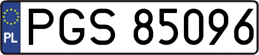 PGS85096