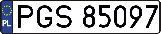 PGS85097