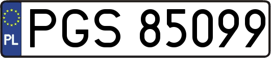 PGS85099