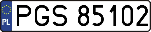 PGS85102