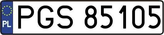 PGS85105