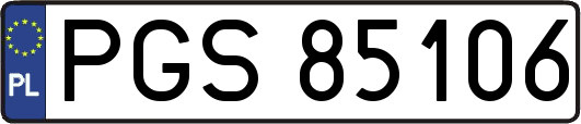 PGS85106