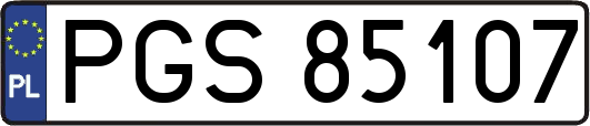 PGS85107