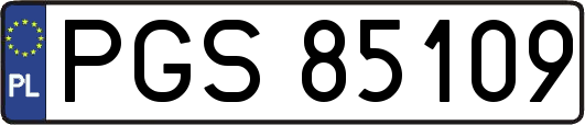 PGS85109