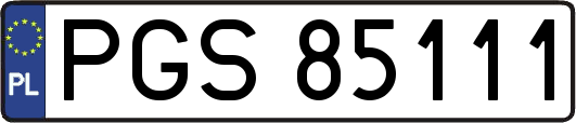 PGS85111