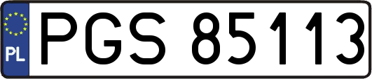 PGS85113