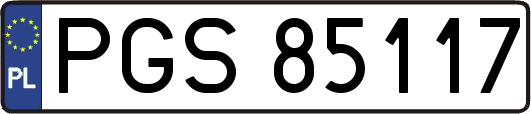 PGS85117