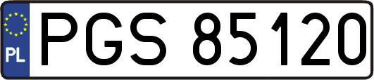 PGS85120
