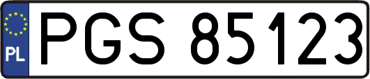 PGS85123