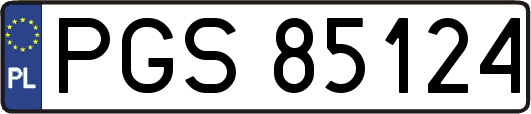 PGS85124