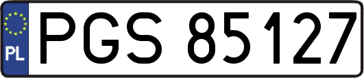 PGS85127