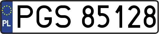 PGS85128