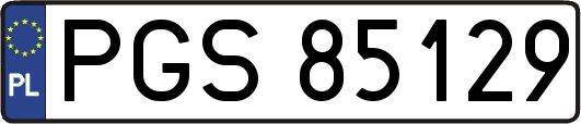PGS85129