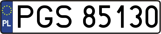 PGS85130
