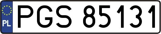 PGS85131