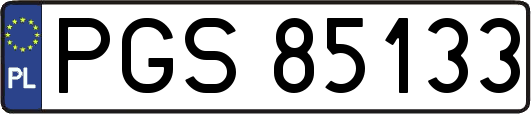 PGS85133
