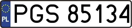 PGS85134
