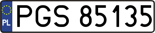 PGS85135