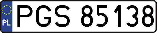 PGS85138