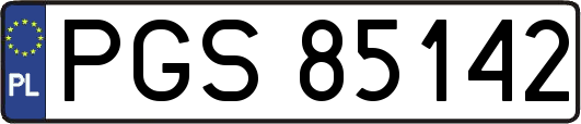 PGS85142
