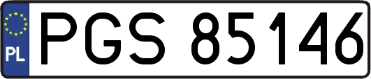PGS85146