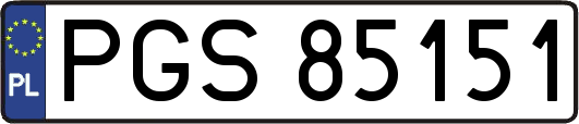 PGS85151