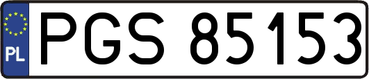 PGS85153