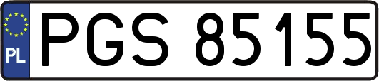 PGS85155