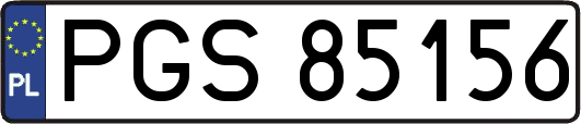 PGS85156