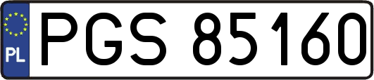 PGS85160
