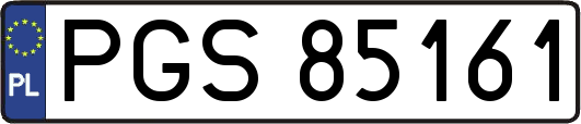 PGS85161