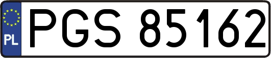 PGS85162